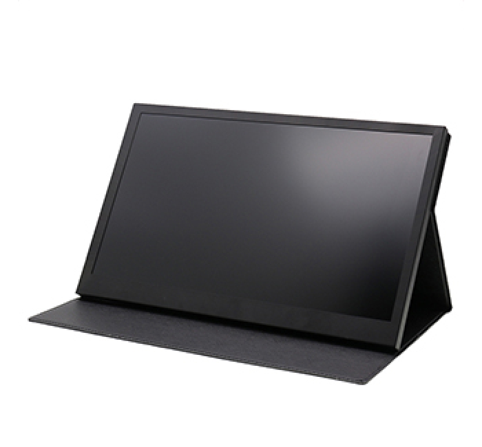 性?xún)r(jià)比款-13/15/17寸顯示器